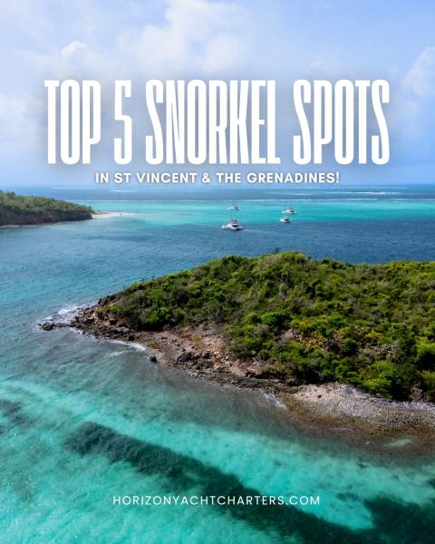 Discover the Caribbean’s snorkeling hot spots 🤿

St Vincent & the Grenadines boasts some of the richest biodiversity in the Caribbean. Imagine crystal-clear water, pristine coral reefs and an abundance of tropical marine life🪸🐟🦞

The incredible volcanic shorelines, underwater caves, protected marine parks and shallow bays offer the best of the best for beginners through to experienced snorkelers.

SUGGESTED TOP FIVE
1. Tobago Cays - clear shallow turquoise waters, Green & Hawksbill turtles, eagle rays, sting rays, star fish 🐢
2. Fort Duvernette - fascinating volcanic formations, parrotfish, angel fish, moray eels, spiny lobsters 🦞
3a. Chatham Bay - expect quieter “secret snorkeling” in pristine conditions and spot sea turtles, sea stars, spotted moray eels, porcupine fish 🍥
3b. Union Island - sea stars, moray eels, lobsters 🦞 
4. Lagoon Bay, Mustique - shallow, calm waters with small reef fish, juvenile blue tangs and camouflage flounders 🐟 
5. Canouan Island - surrounded by one of the largest living coral barrier reefs in the Caribbean, expect diverse marine life including Hawksbill and Green sea turtles, angelfish, trumpet fish, yellow tail snappers, spotted eagle rays and stingrays 🐠

Book a bareboat, skippered or fully-crewed sailing charter and escape to the underwater magic of the Grenadines ✨

🔔Book by June 30, 2026 and get up to 20% off a charter from November 1 - December 18, 2026. Use booking code: NOVDEC%. Valid on new bookings only. Terms and Conditions apply.

📧info@horizonstvincent.com
☎️+1 877 877 1888

#snorkeling #topsnorkelingspots #snorkelinginthecaribbean #sailthegrenadines #horizonyachtcharters